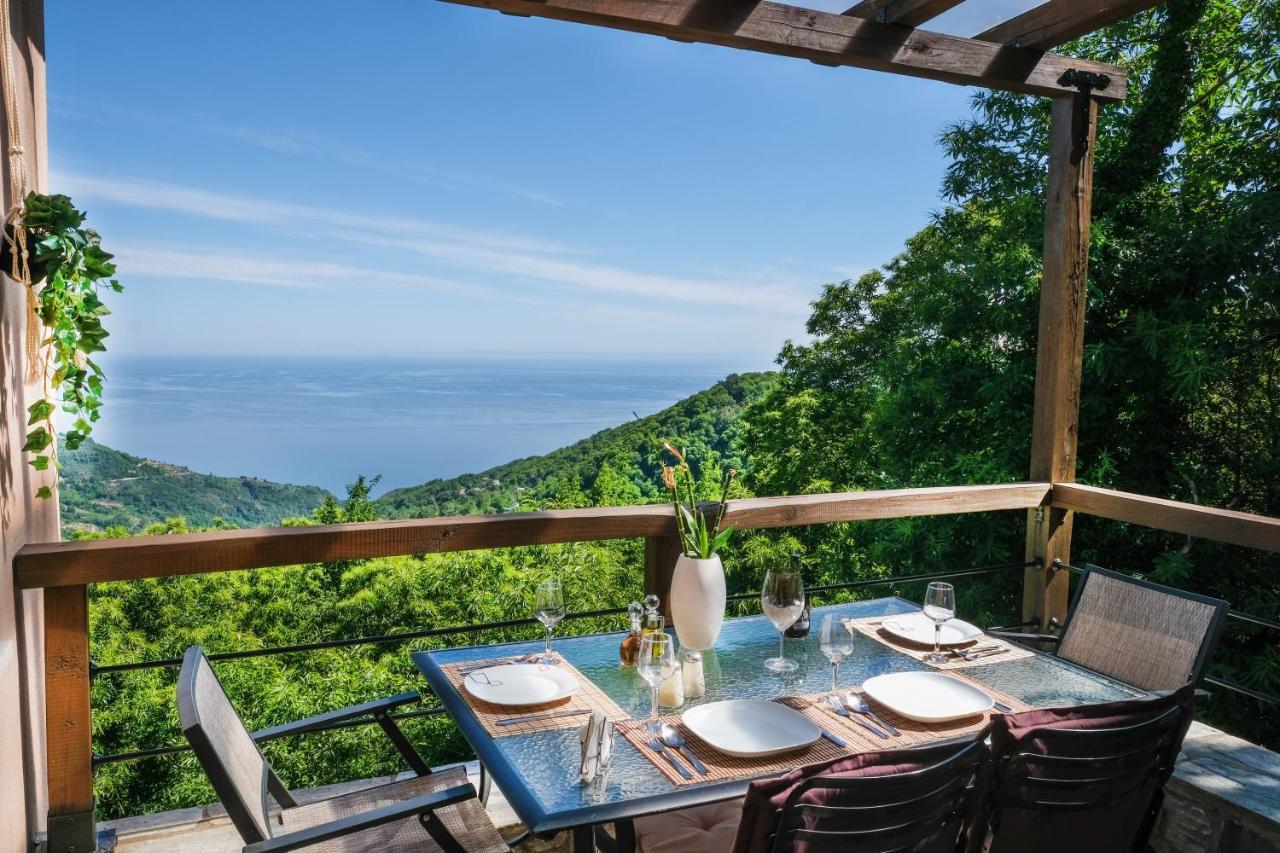 Villa A Dream Deferred Pelion Kissos (Thessaly)