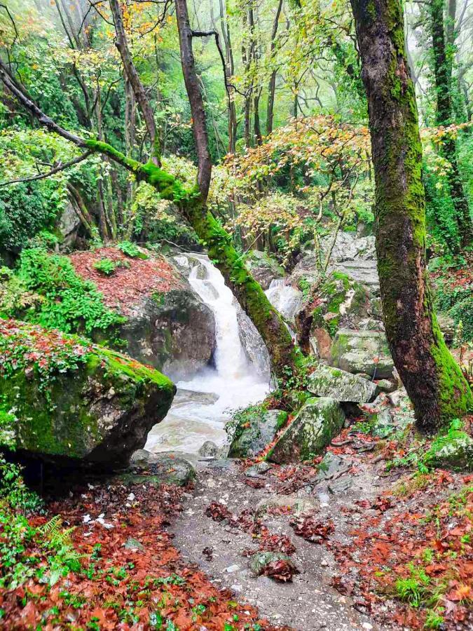 A Dream Deferred Pelion * Kissos (Thessaly)