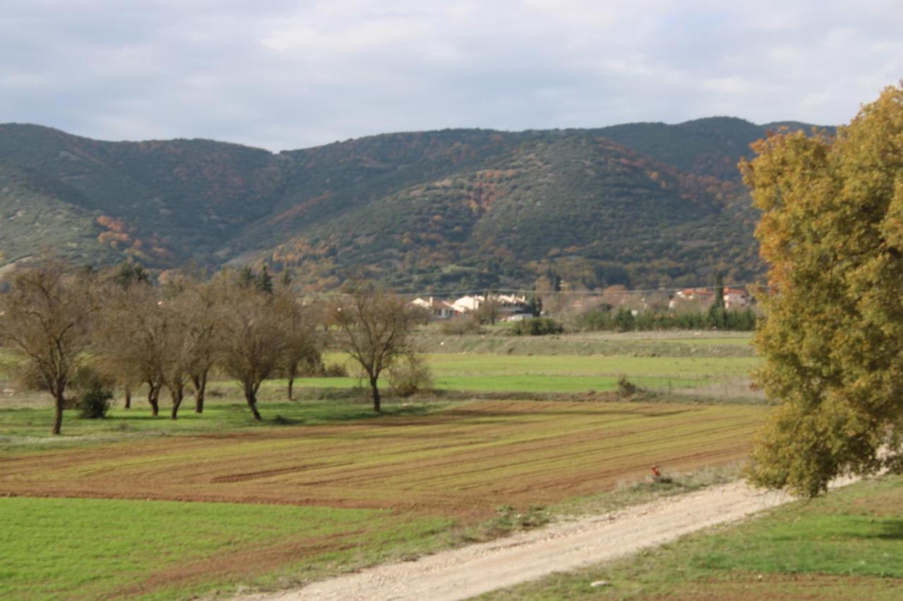 Valia * Kalavryta