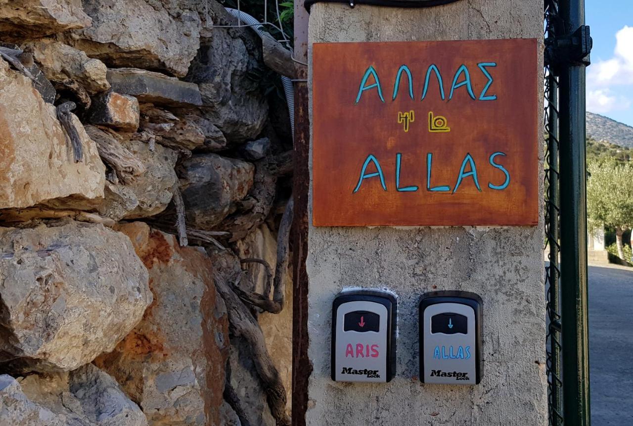 Allas, Guest Art