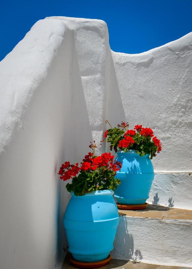 Apartment Spiti Georgia In Drios Village Parikia (Paros)