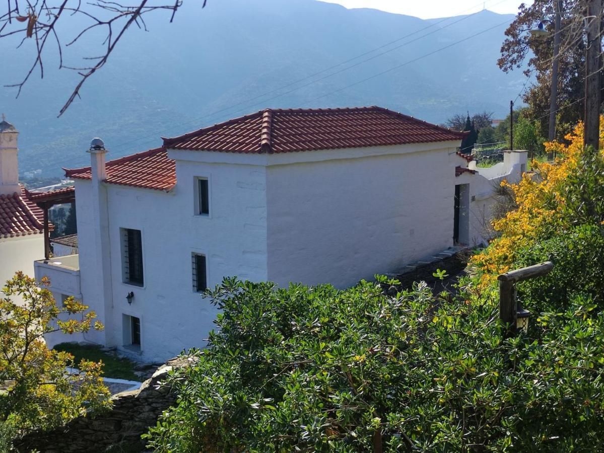 Holiday home Xenia's Traditional House Andros Town