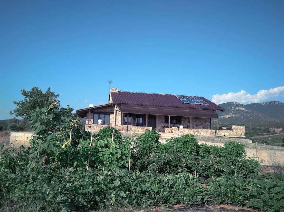 Spacious Rustic With Sea View Holiday home Maroneia (Rhodope)