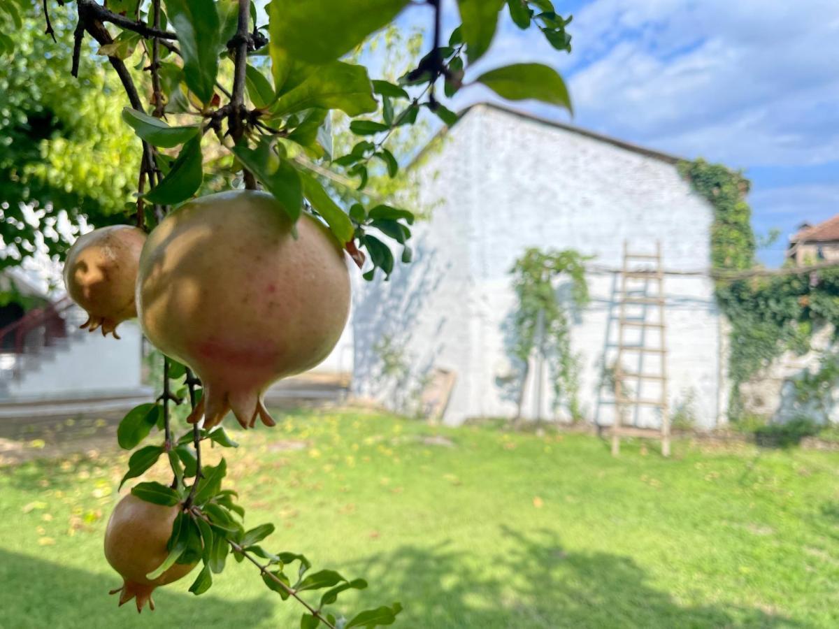 Casa Delicosta- 2 Flat With Garden, 15 Min From