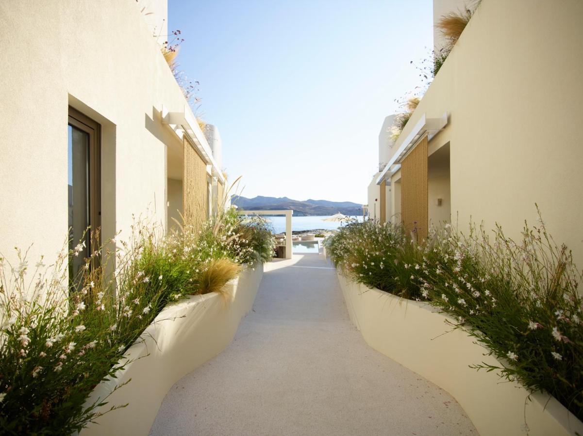 Hotel White Pebble Pollonia