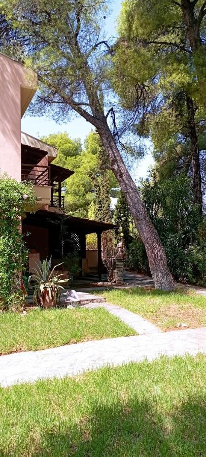 High Aesthetics Maisonette In The Wood By The Sea Villa Metamorfosi (Sithonia)