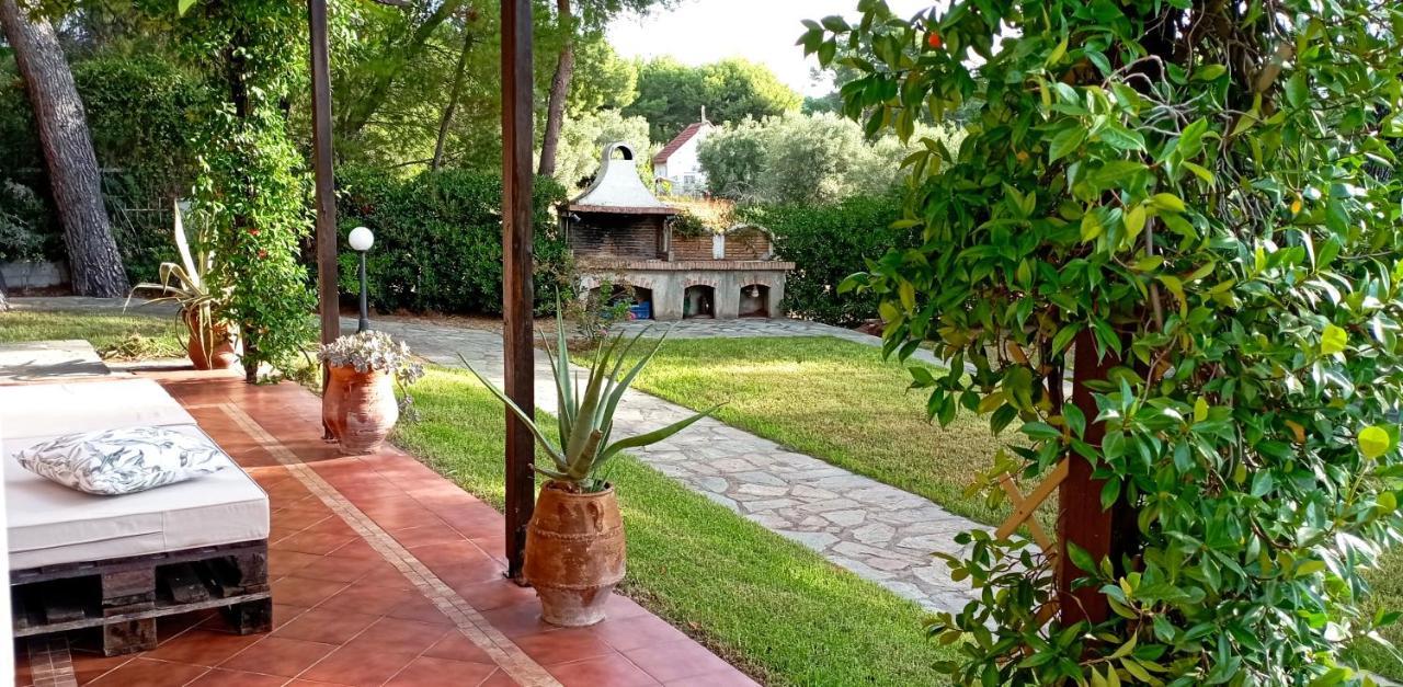 High Aesthetics Maisonette In The Wood By The Sea Villa