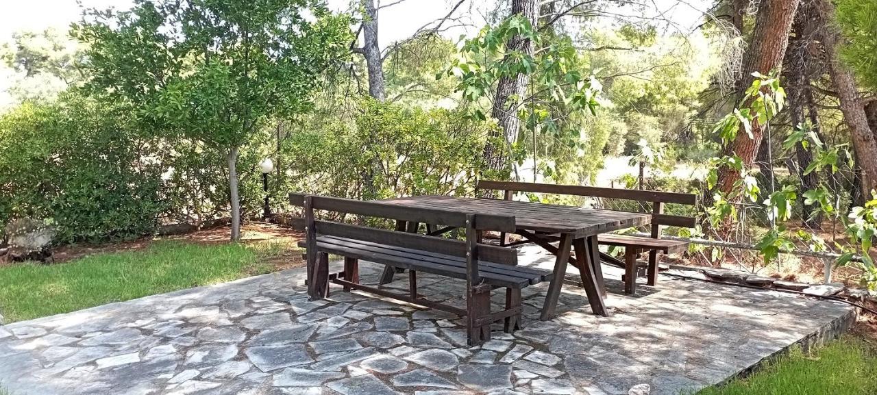 High Aesthetics Maisonette In The Wood By The Sea Villa *