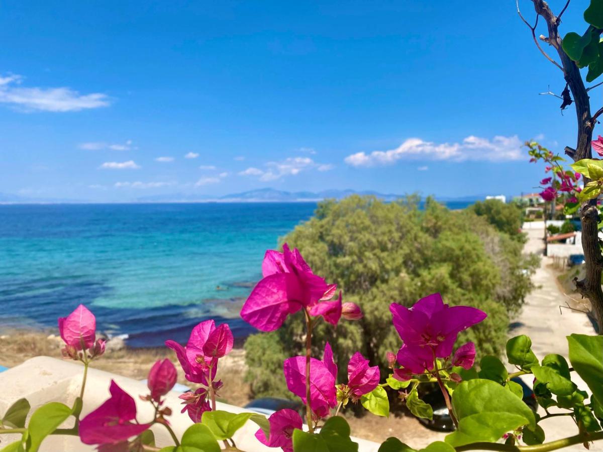 The Beachhouse Apartment Vagia (Aegina)