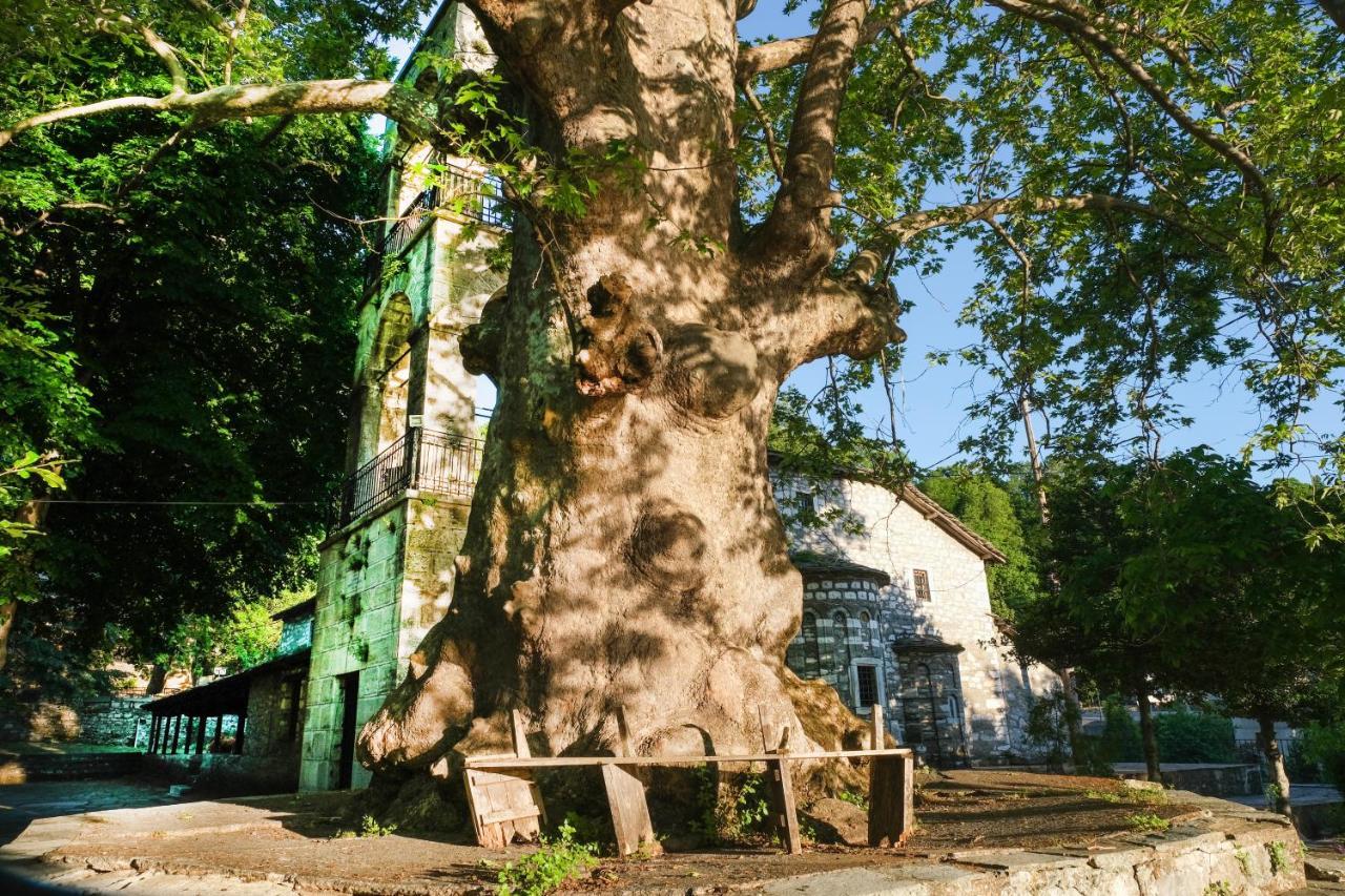Villa A Dream Deferred Pelion Kissos (Thessaly)