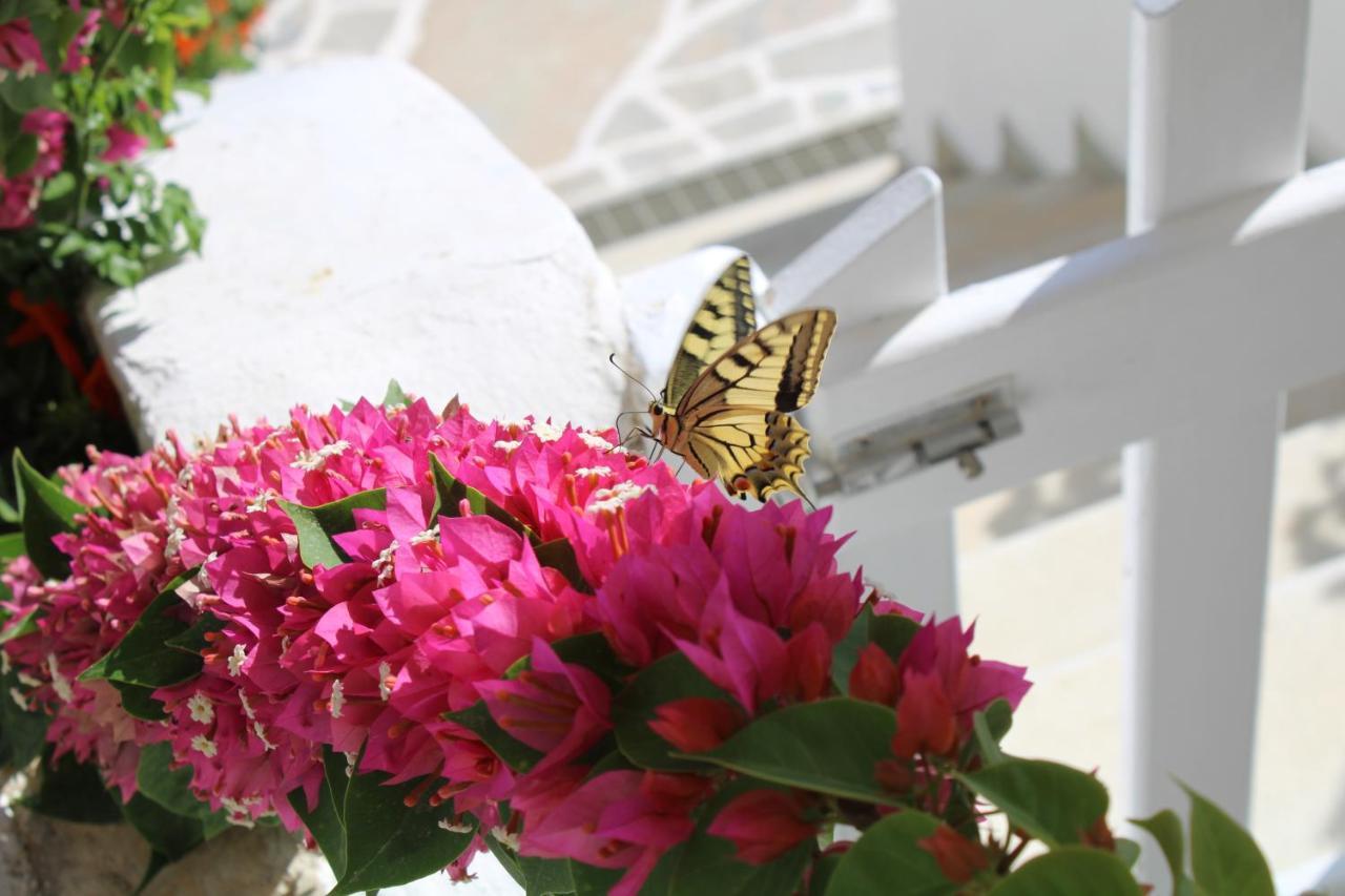Crystal Naxos 1 At