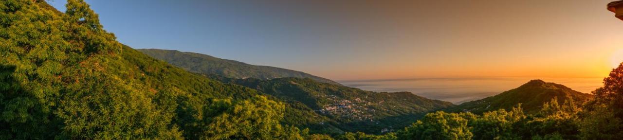 A Dream Deferred Pelion Villa Kissos (Thessaly)