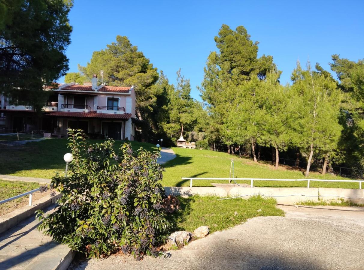 High Aesthetics Maisonette In The Wood By The Sea Villa *