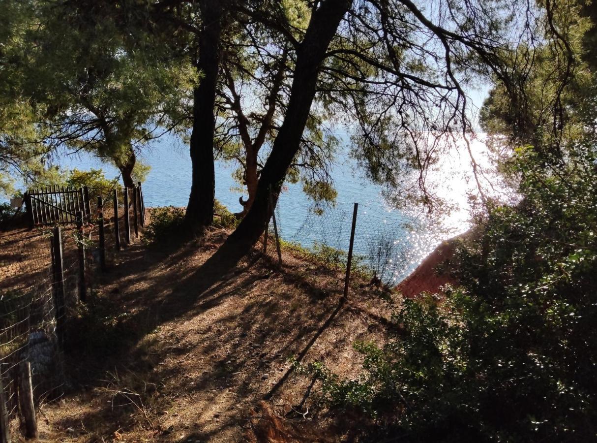 High Aesthetics Maisonette In The Wood By The Sea Villa Metamorfosi (Sithonia)