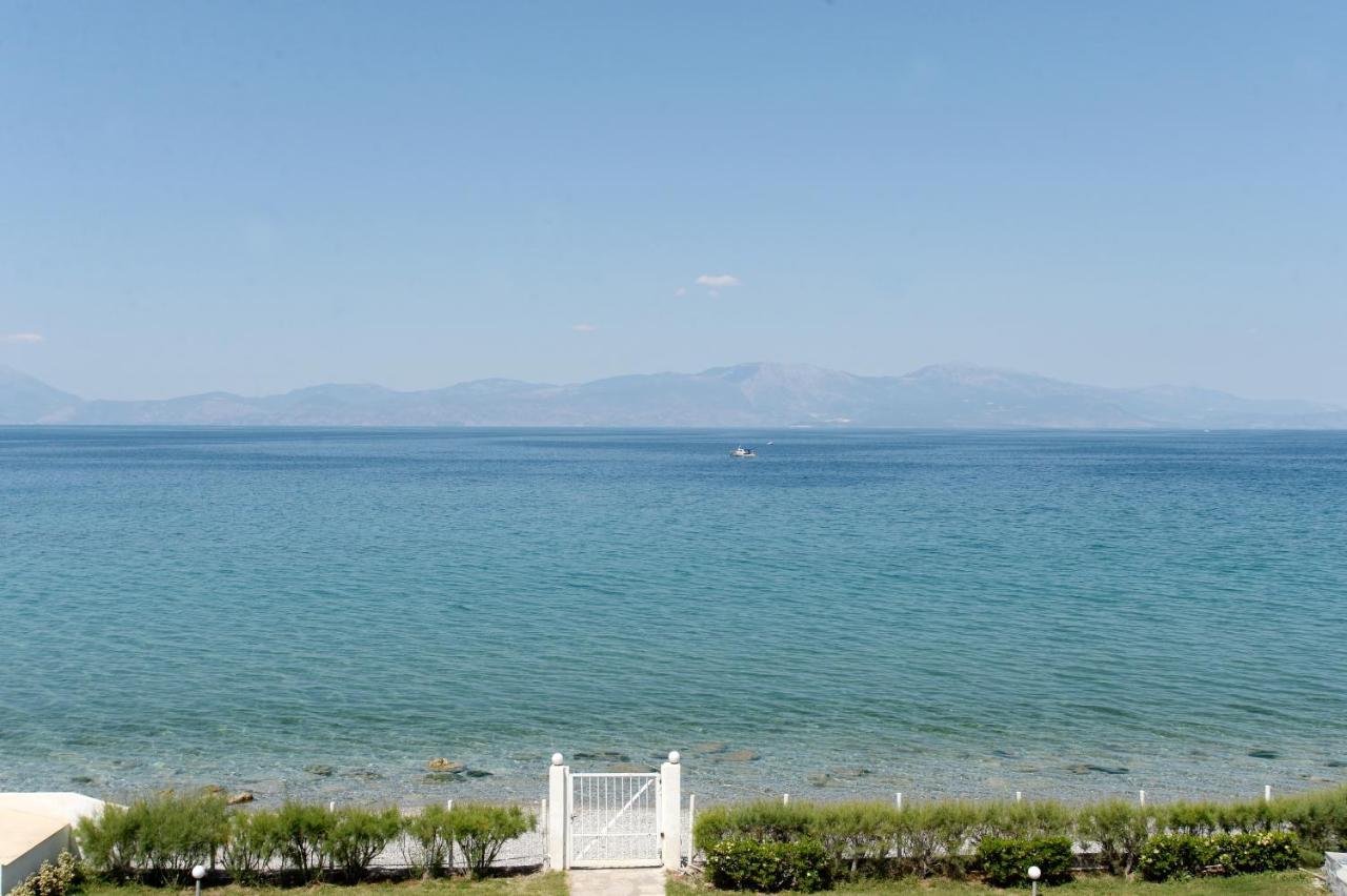 Antorina Grande Beachfront House With Private Pool Kamari (Corinthia)
