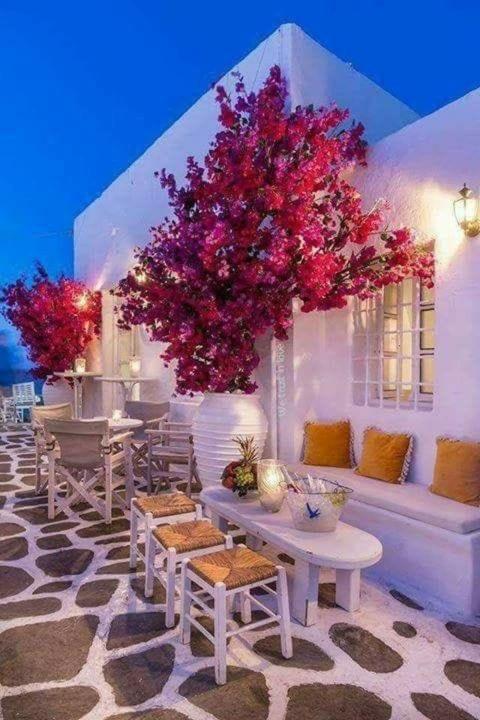 4 Seasons Suites Paradise On The Beach Holiday home *