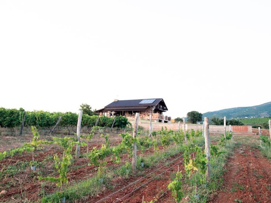 Holiday home Spacious Rustic With Sea View Maroneia (Rhodope)
