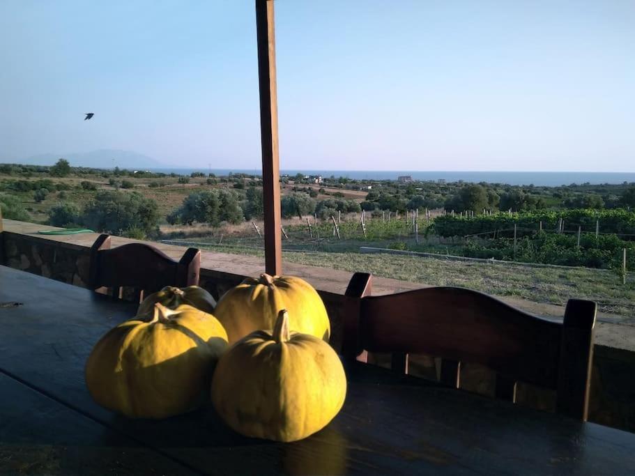 Spacious Rustic With Sea View Maroneia (Rhodope)