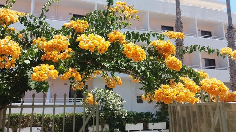 Apartment Kardamena *
