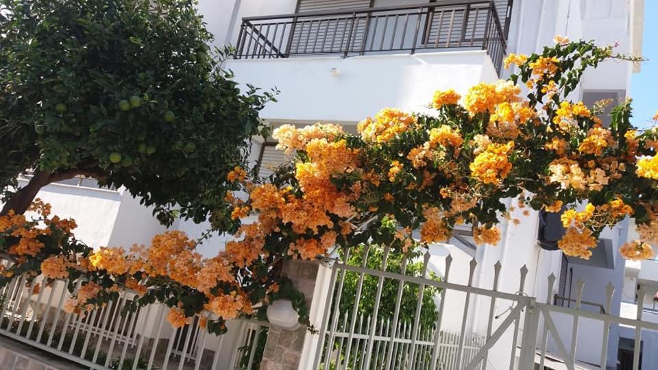 Apartment Kardamena *
