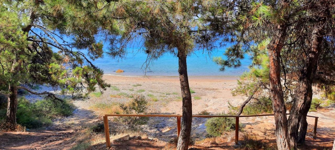 Apartment Borgo Thassos
