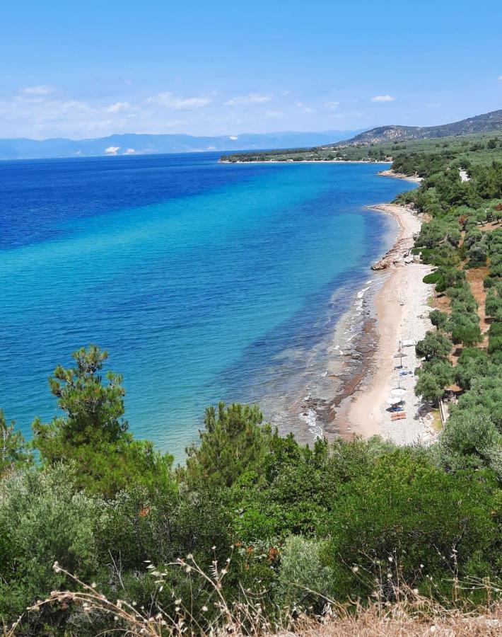 Borgo Thassos