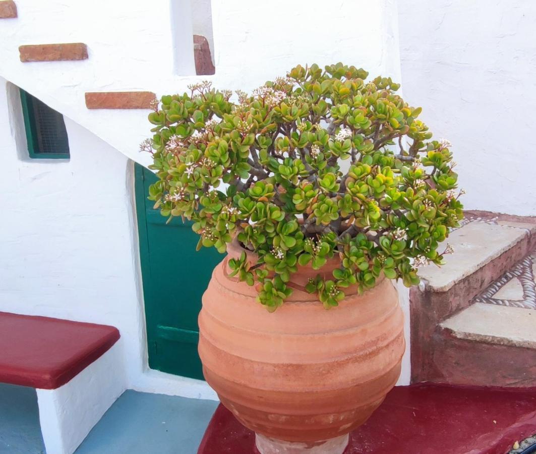 Patelo House Holiday home *