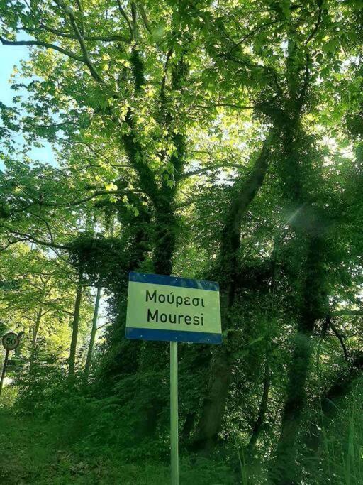 Lamprou V. House Holiday home Mouresi