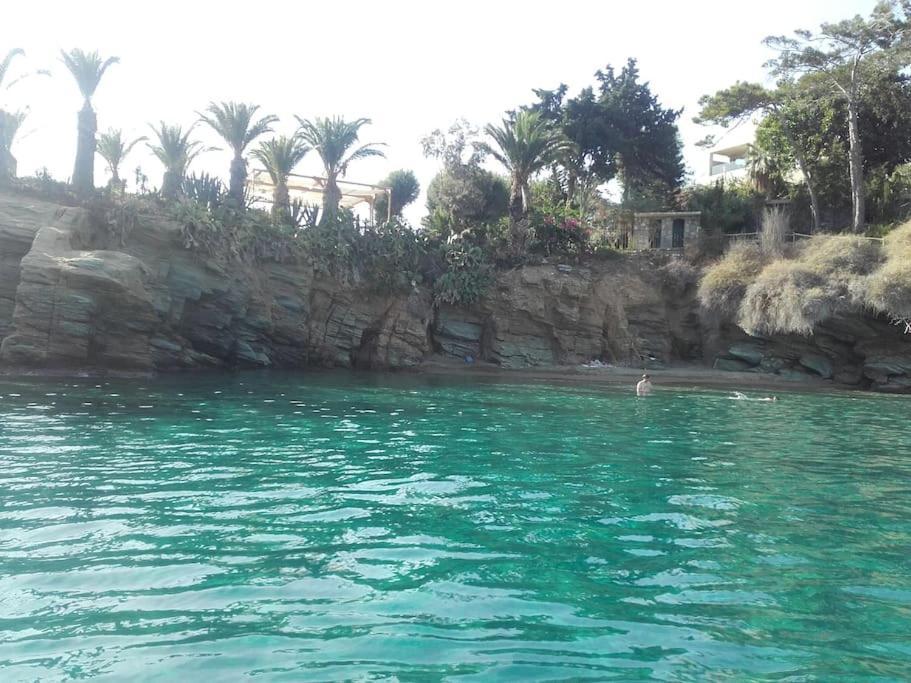 Apartment Four Seasons! Ligaria (Crete)