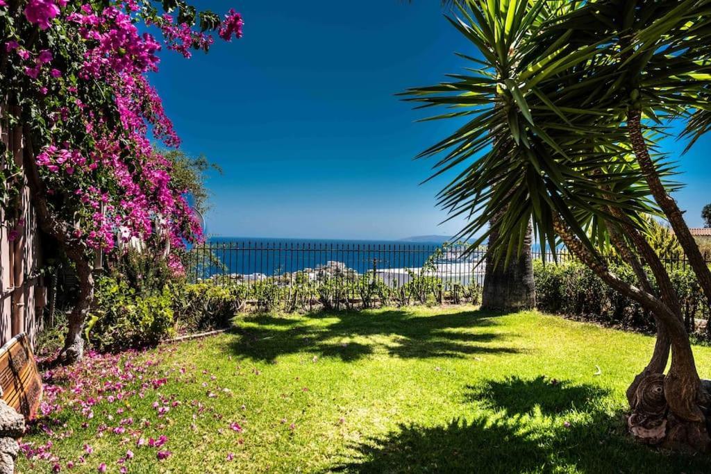 Four Seasons! * Ligaria (Crete)
