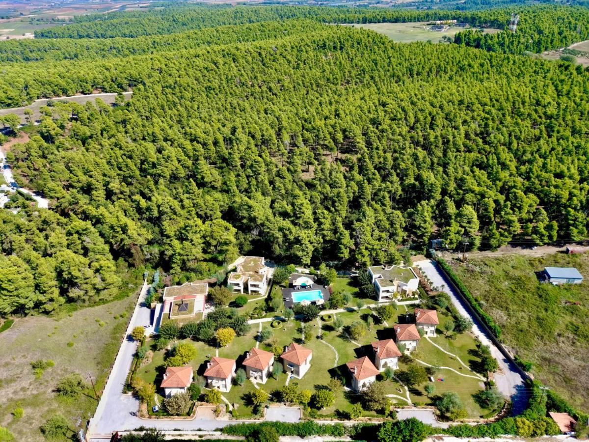 Sani Polyastron & Sani (Chalkidiki)