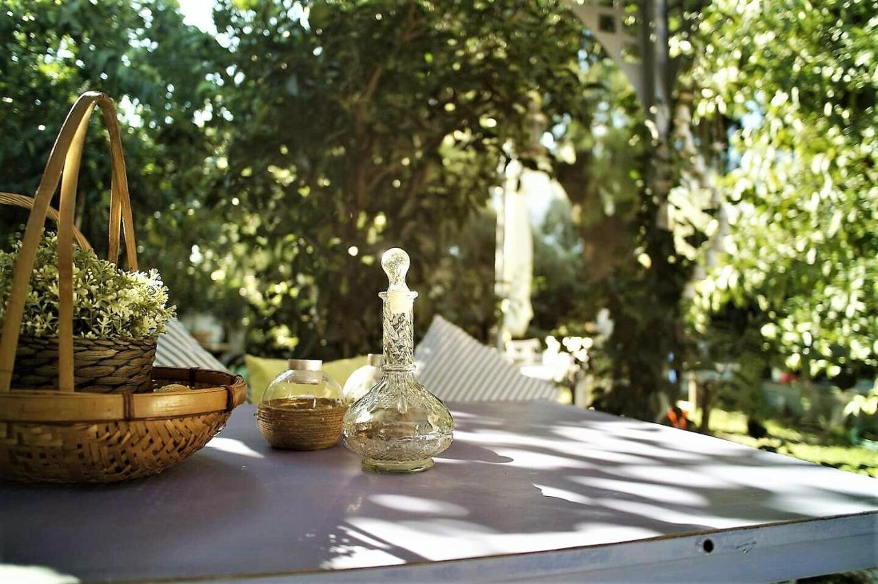 Alterra Vita Guest house