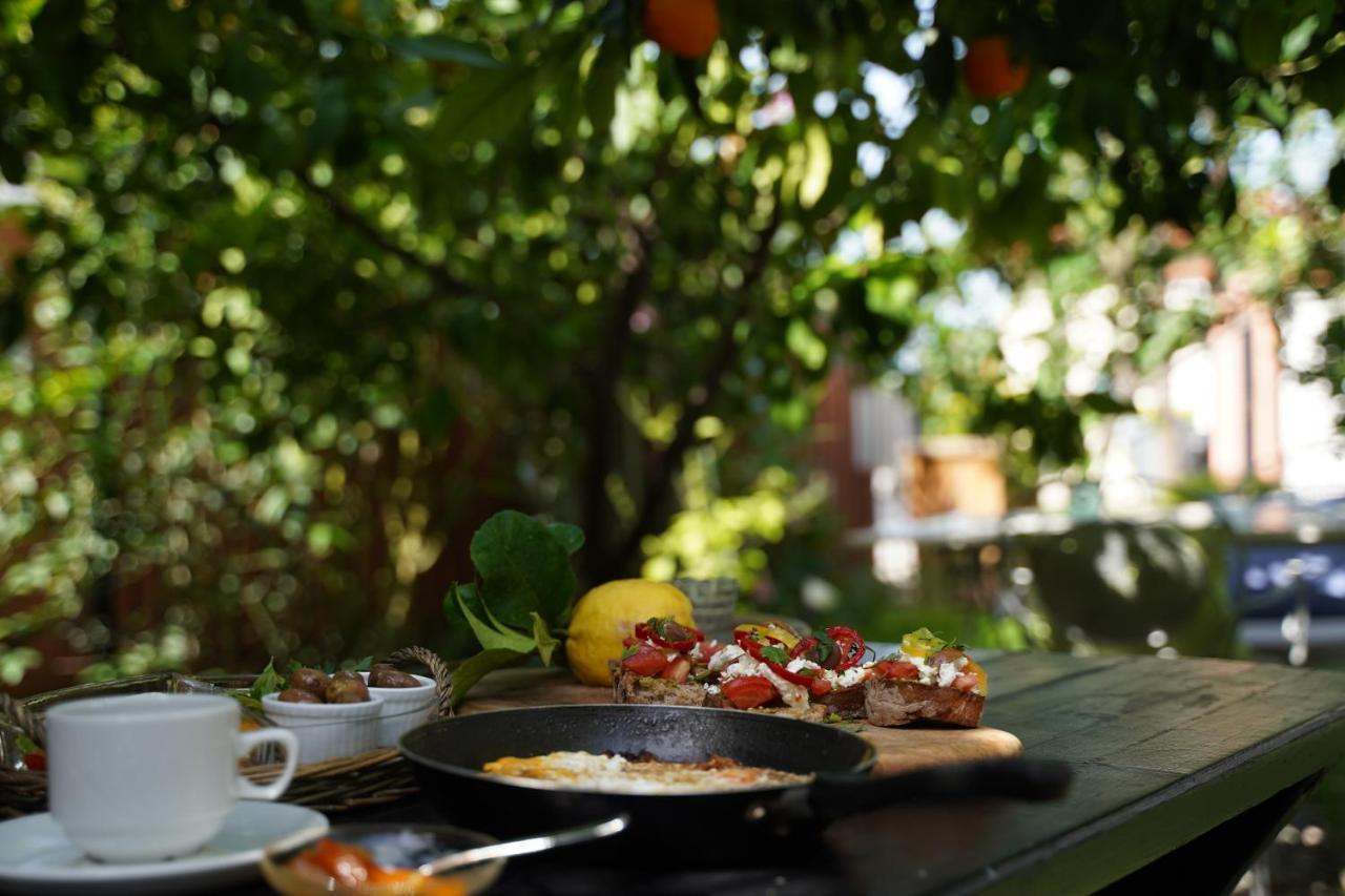 Guest house Alterra Vita 3*