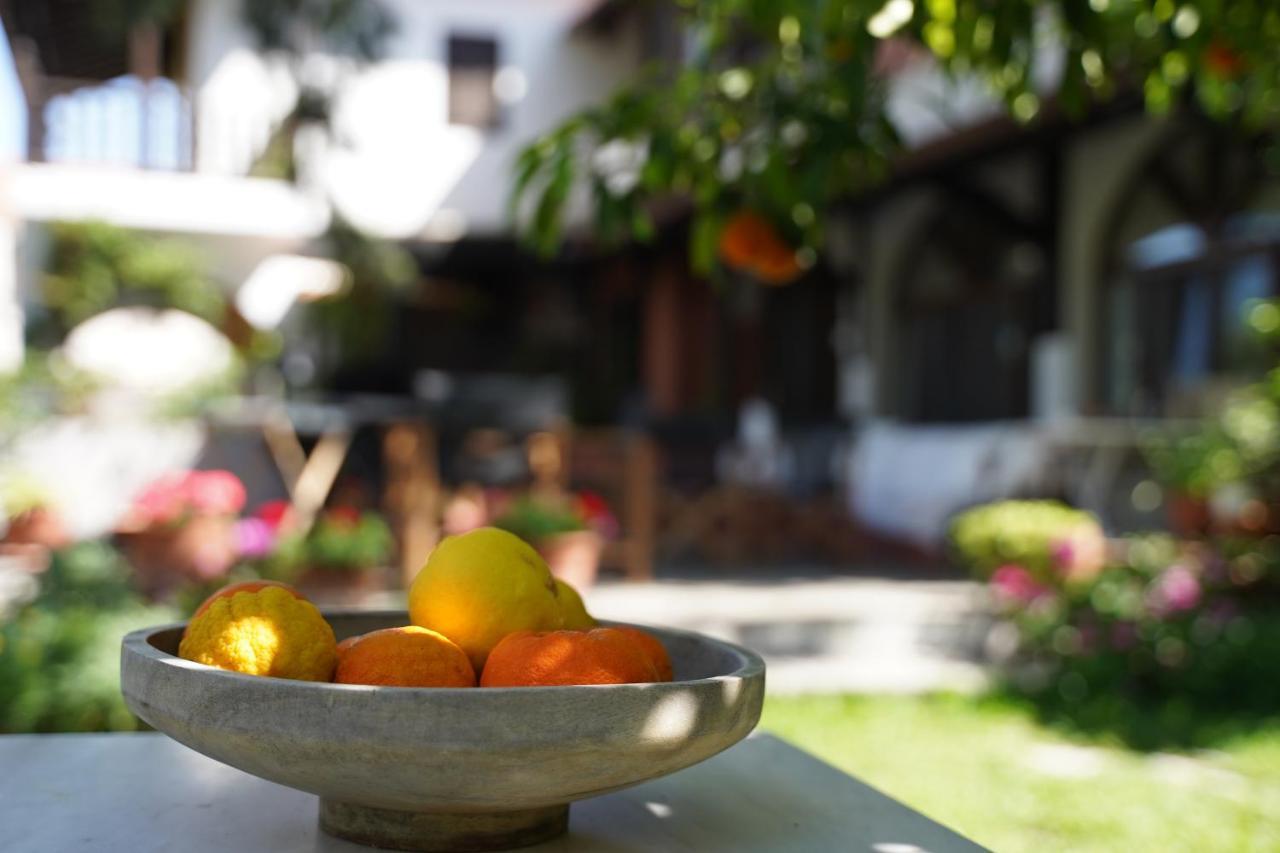 Alterra Vita Guest house Neos Marmaras