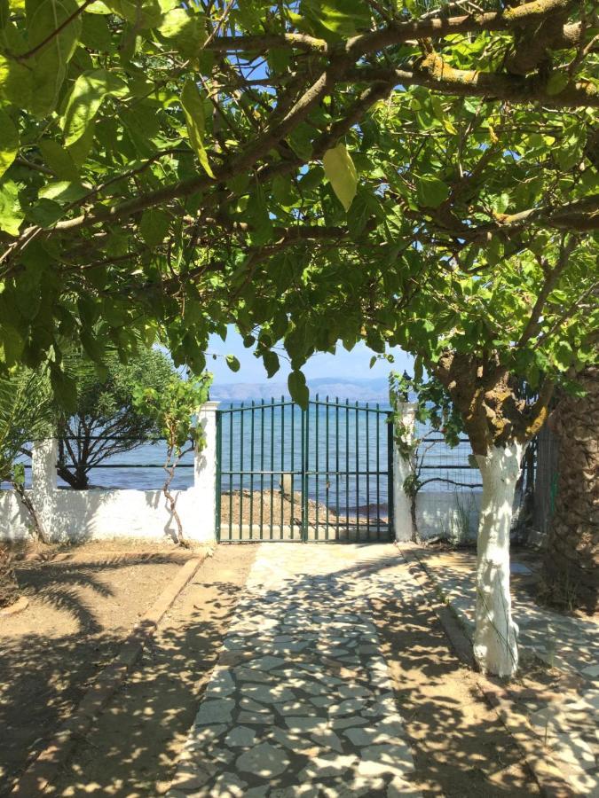 Aristidis Holiday home Lefkimmi (Corfu)