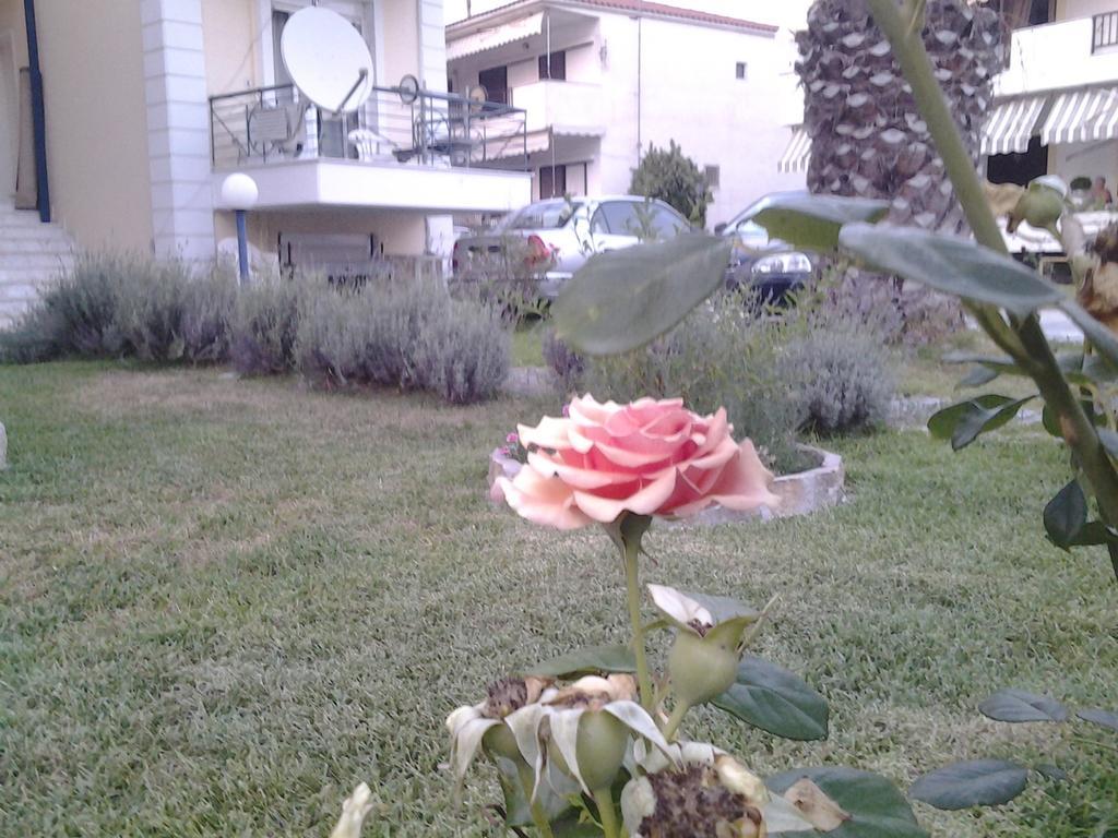 Apartment Esperides *