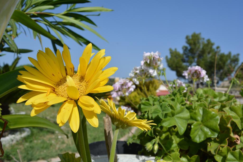Holiday home Ambrosia House Tsairi