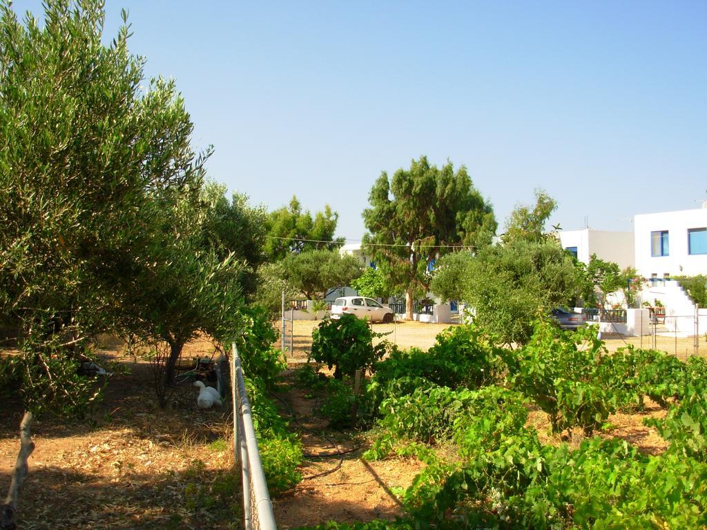 Apartment Horizon View Amoopi