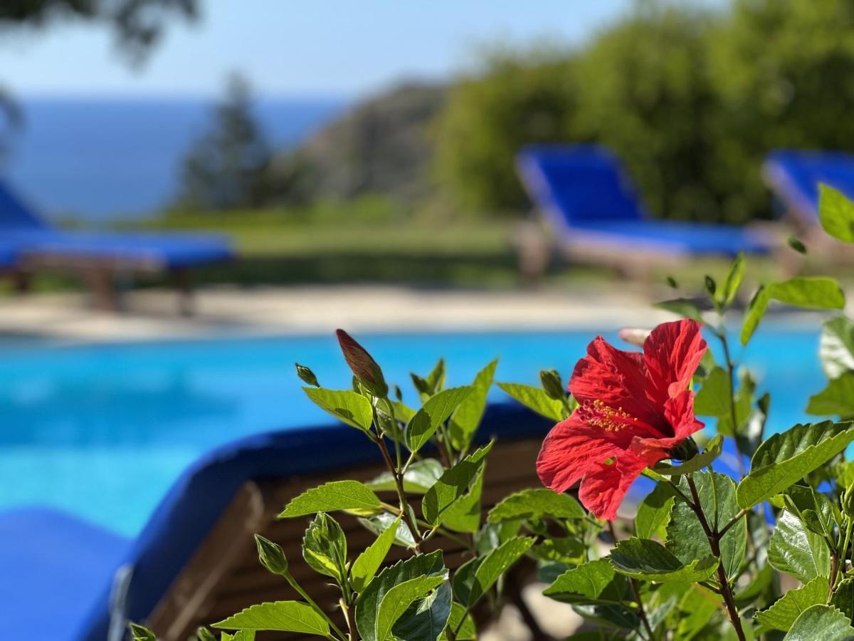 Anemos, Spartia, Kefalonia Villa