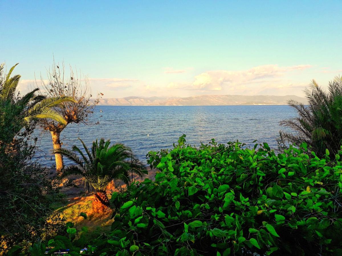 Aristidis Holiday home Lefkimmi (Corfu)