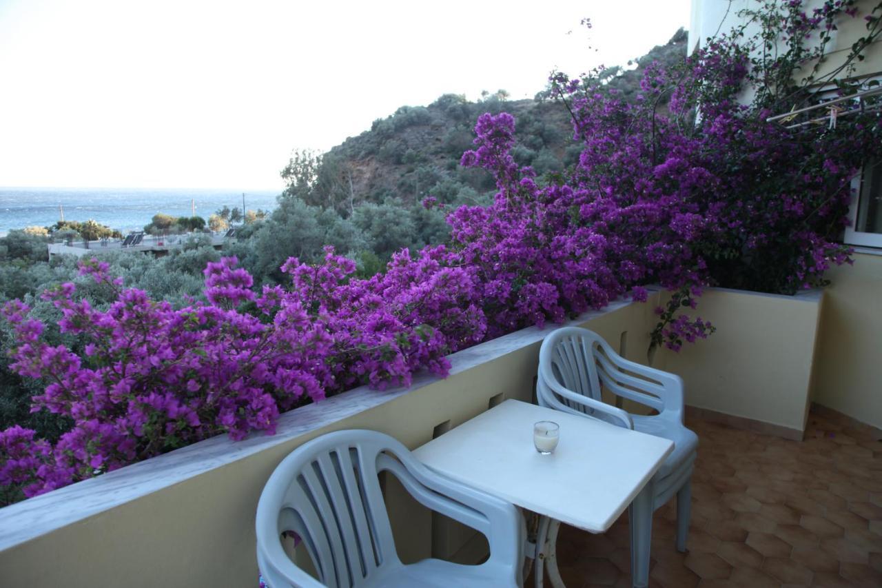 Sunrise Hotel & Apartments 2*