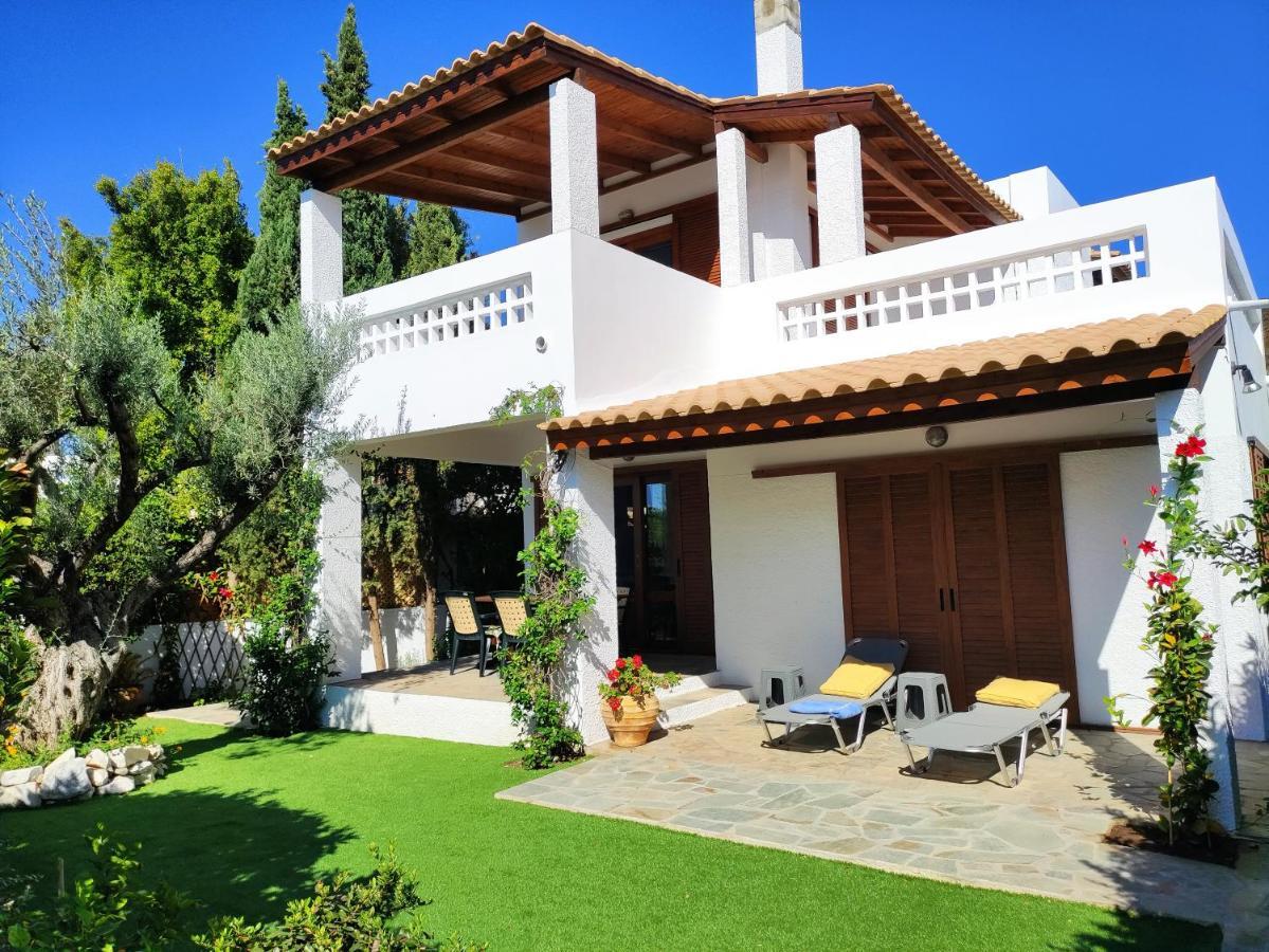 Porto Hydra - Mirani
