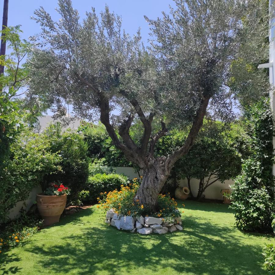 Porto Hydra - Mirani Villa Ermioni