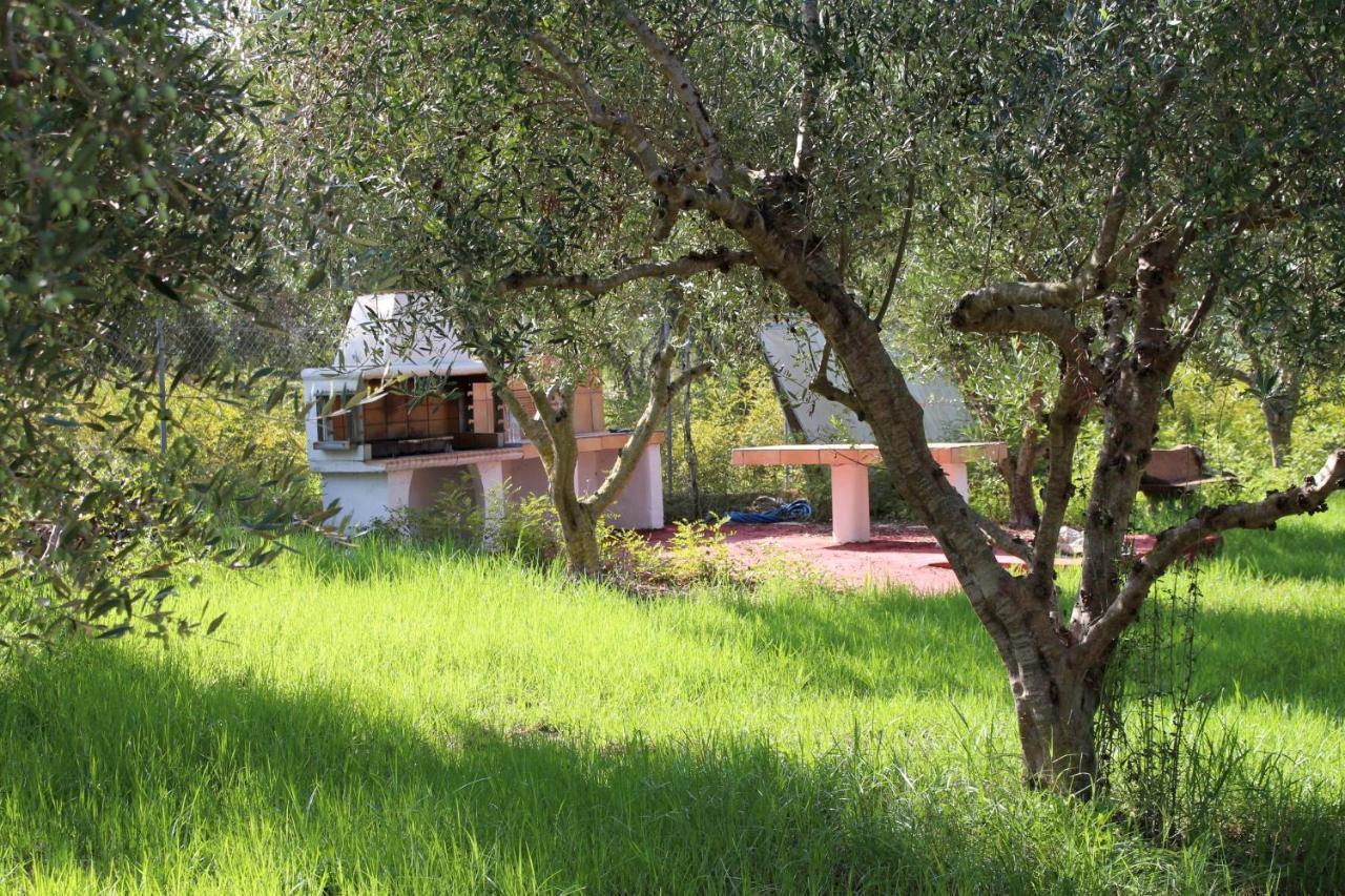 Nikos Kastro 3 * Kastron (Elis)