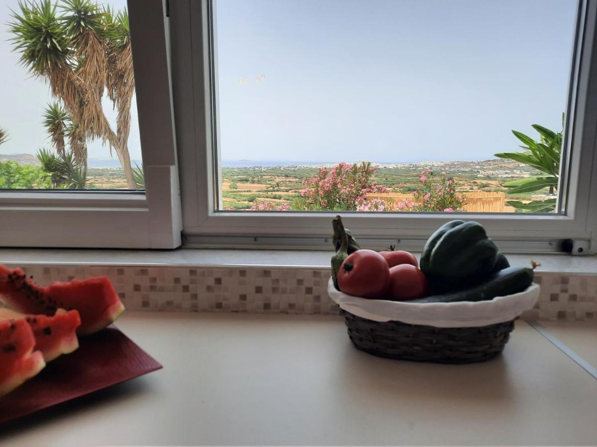 Janakos Luxury Apartment Glinado Naxos