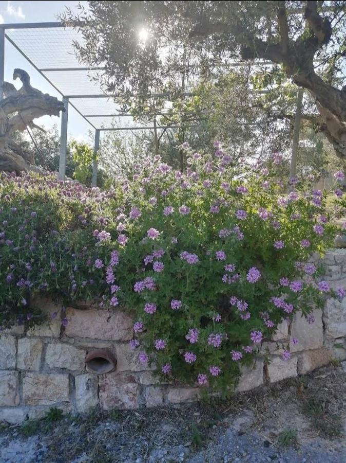 Maria Elena * Koroni (Messinia)
