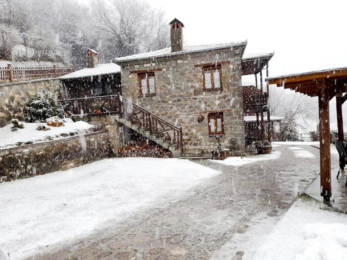 πέτρινο όραμα Guest house Kotronion (Trikala)