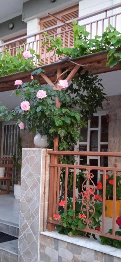 Homestay Stella Sunrise