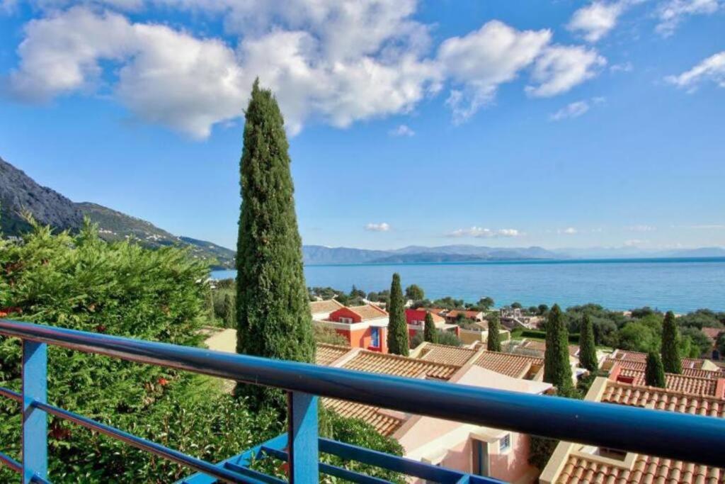 View 1. Barbati