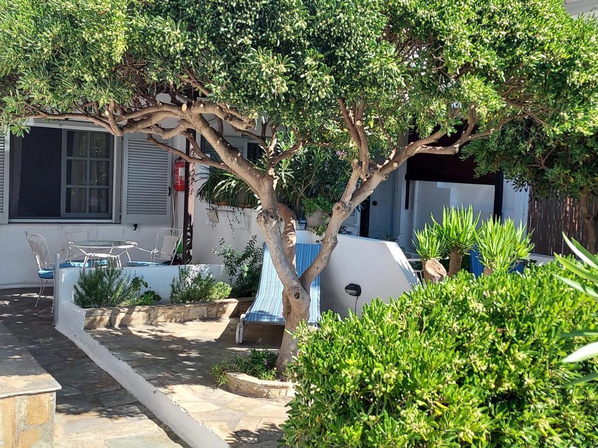 Arni Andros - αρνη Apartment Batsi (Andros)